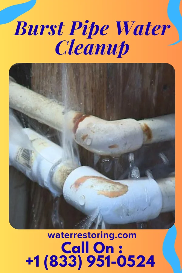 Burst Pipe Water Cleanup in Central Pacolet, SC