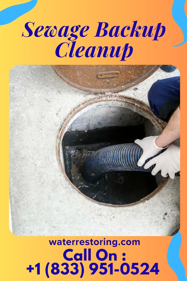 Sewage Backup Cleanup in Central Pacolet, SC