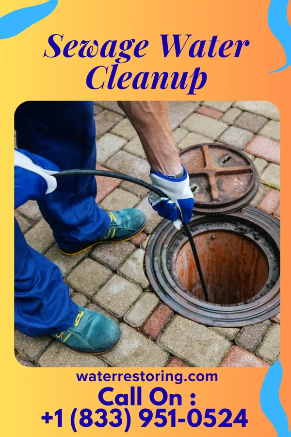 Sewage Water Cleanup in Central Pacolet, SC